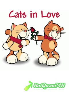 Cats In Love